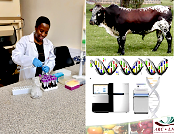 GenomicAnalysis.png
