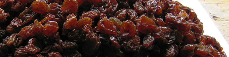 TopPostHarvest.jpg