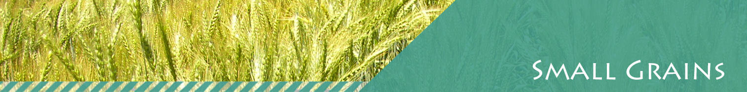 SGbanner.jpg
